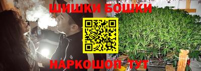 стафф Лесосибирск