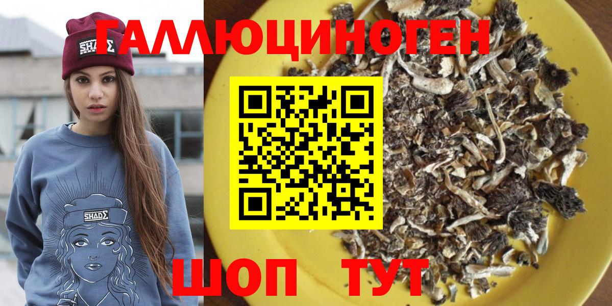 Псилоцибиновые грибы Psilocybine cubensis  Вход с VPN  Энгельс 