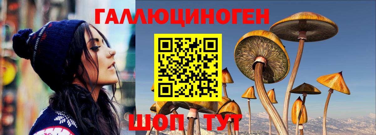 Псилоцибиновые грибы Cubensis Энгельс